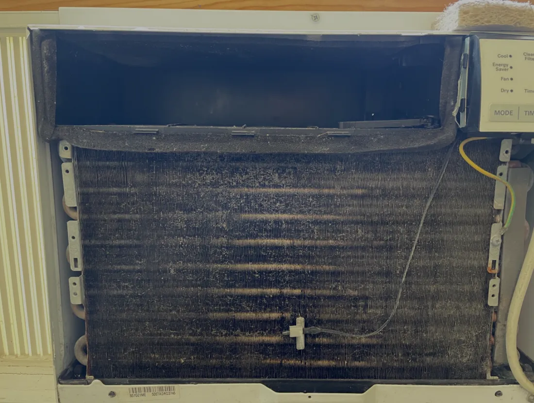 The original wall A/C unit in my apartment, its coils covered in black mold.