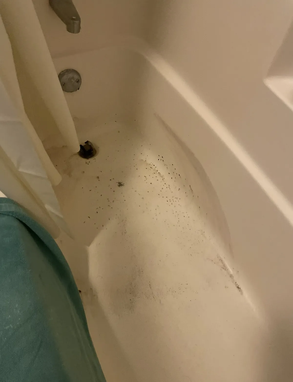 Black mold speckled across the floor of my bathtub.