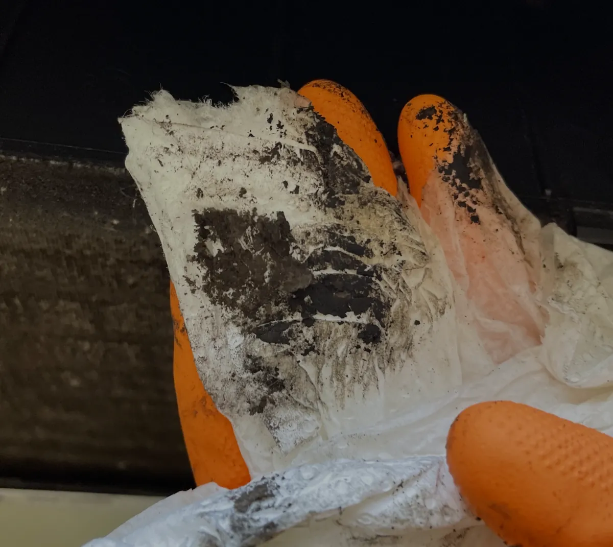 An orange-gloved hand holding a cleaning wipe covered in black mold.